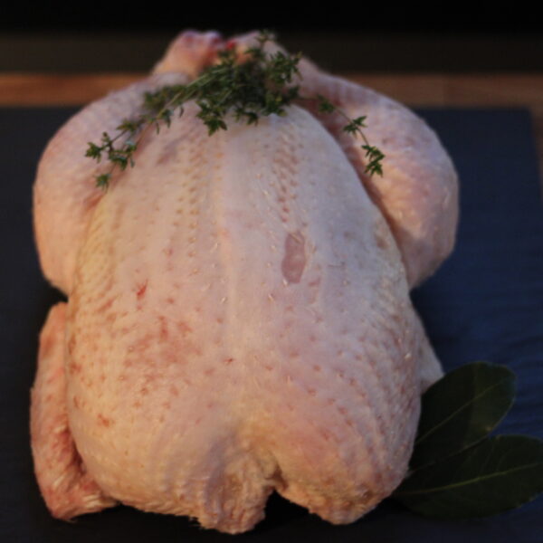 Freerange Chicken / Cockerals