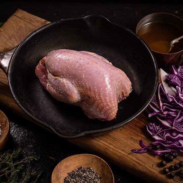 Partridge