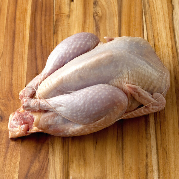 Pheasant